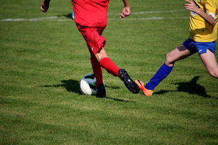 米兰体育官网首页-拳击国家队备战亚运 实施精英训练计划，拳击亚军奖杯照片