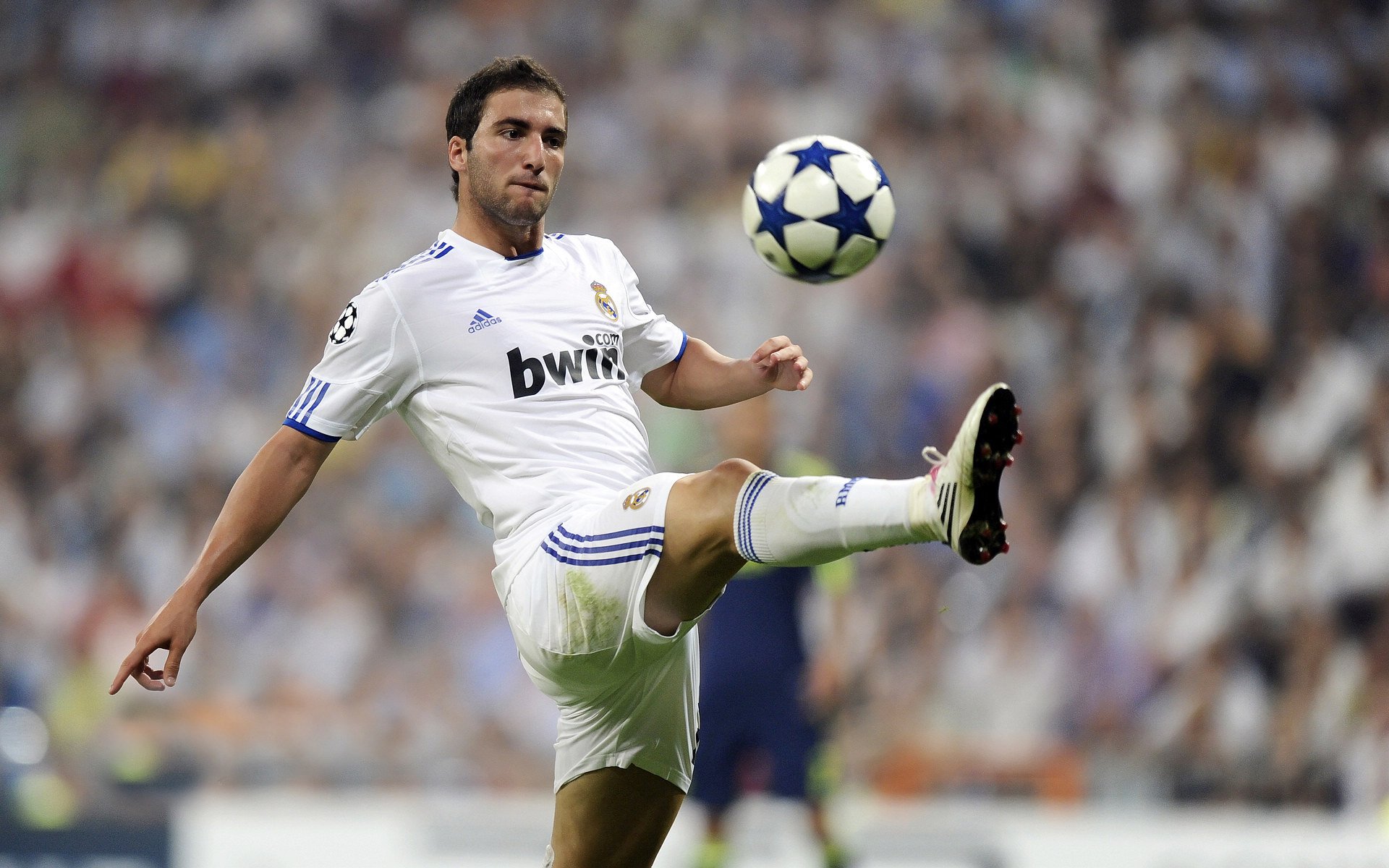 “帕布罗·马特拉的坚韧斗志，让阿根廷美洲狮队防线更加不可撼动”