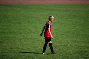 米兰体育报-中国足球俱乐部青训营技术指导持续加强，中国足球青训机构