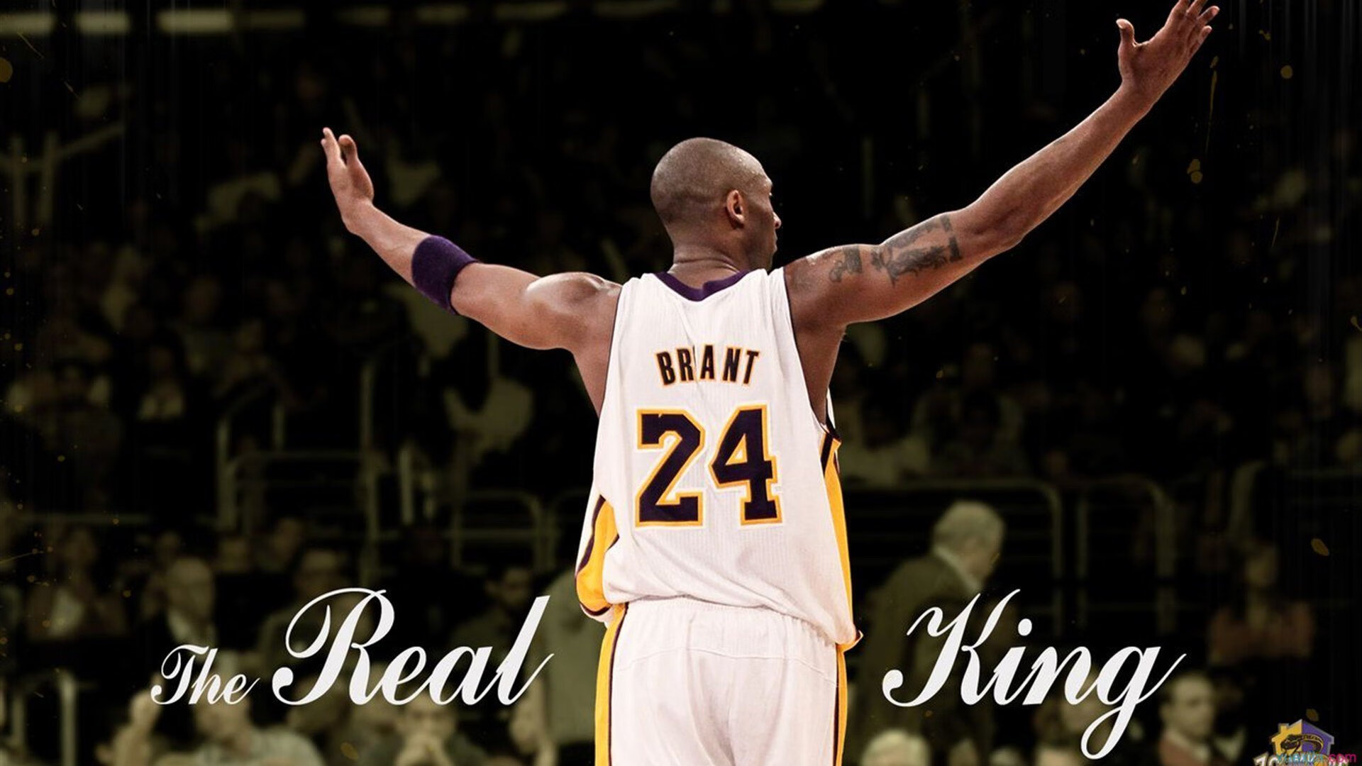 再战世界运会，目标必须向上调整